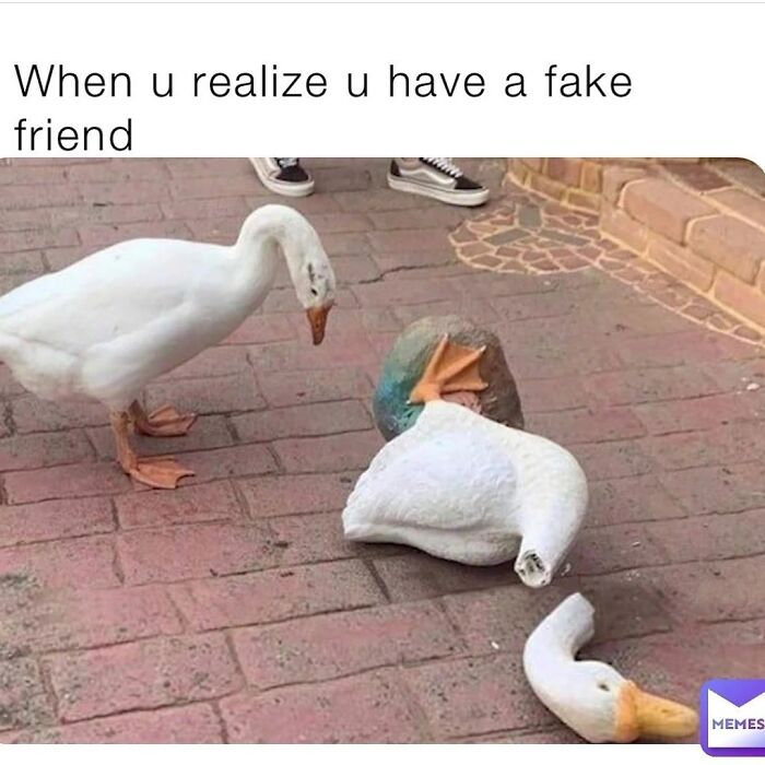 Goose realizes its fake friend is a decoy meme