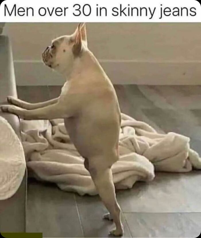 Funny image of a dog standing on hind legs titled men over 30 in skinny jeans