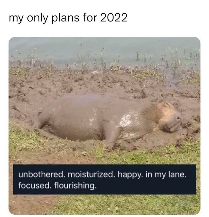 Capybara covered in mud with text about plans for 2022 and self-care