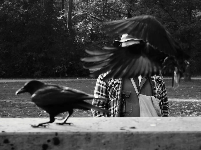 “Corvos com Homem”, de Axel Gorlach