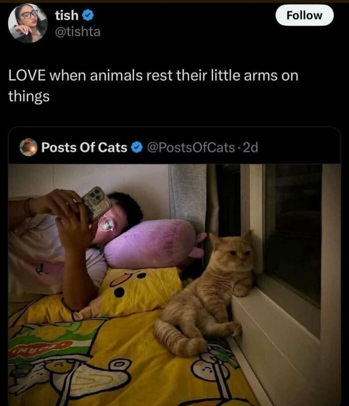83 Soul-Healing Posts Full Of ‘Very Important Positivity’ To Make Your Day A Little Better (New Pics)