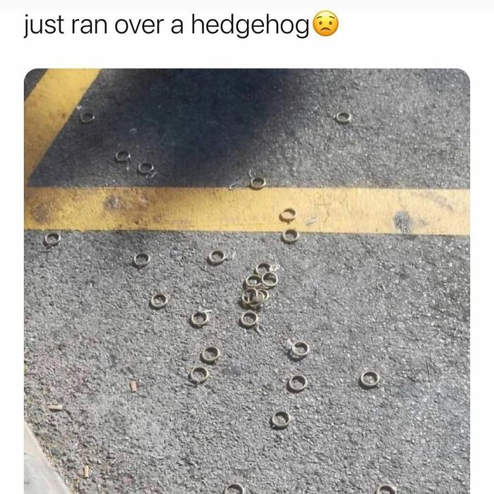 Random meme showing rings spilled on the ground likened to running over a hedgehog