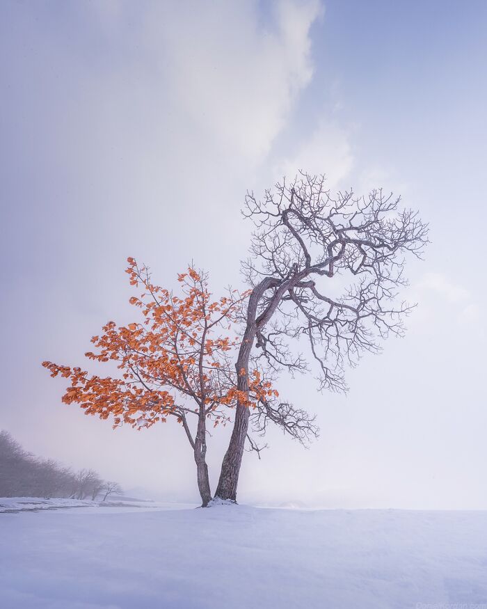 42 Stunning Photos Of Japan’s Landscapes And Colorful Seasons By Daniel Kordan