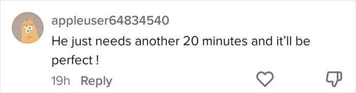 A comment from an appleuser, sarcastically stating, "He just needs another 20 minutes and it'll be perfect!", implying issues with an expensive contractor's work.