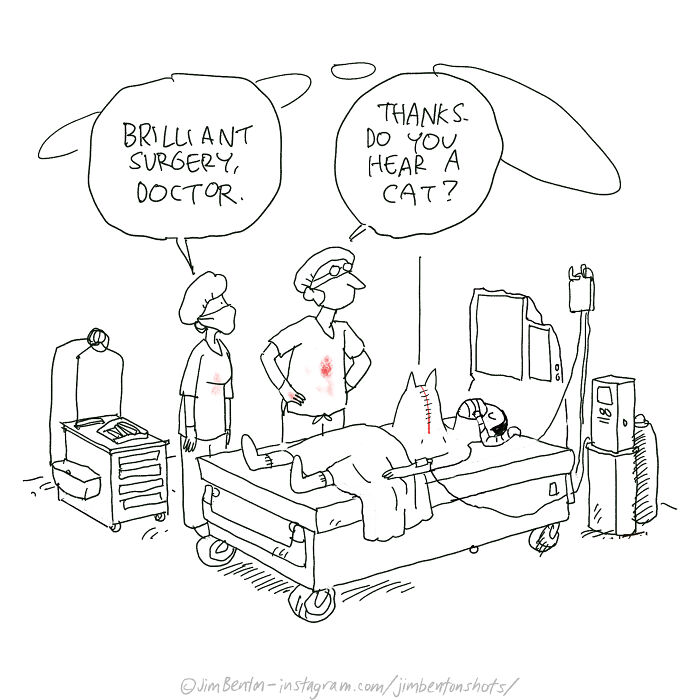 Jim Benton’s Single Panel Comics Prove That One Drawing Is Enough To Deliver A Perfect Joke (40 Pics)