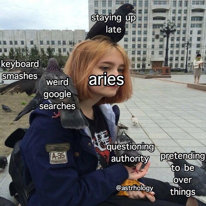 A relatable astrology meme showing a girl, labeled Aries, surrounded by pigeons representing common Aries traits like staying up late, weird Google searches, and questioning authority.