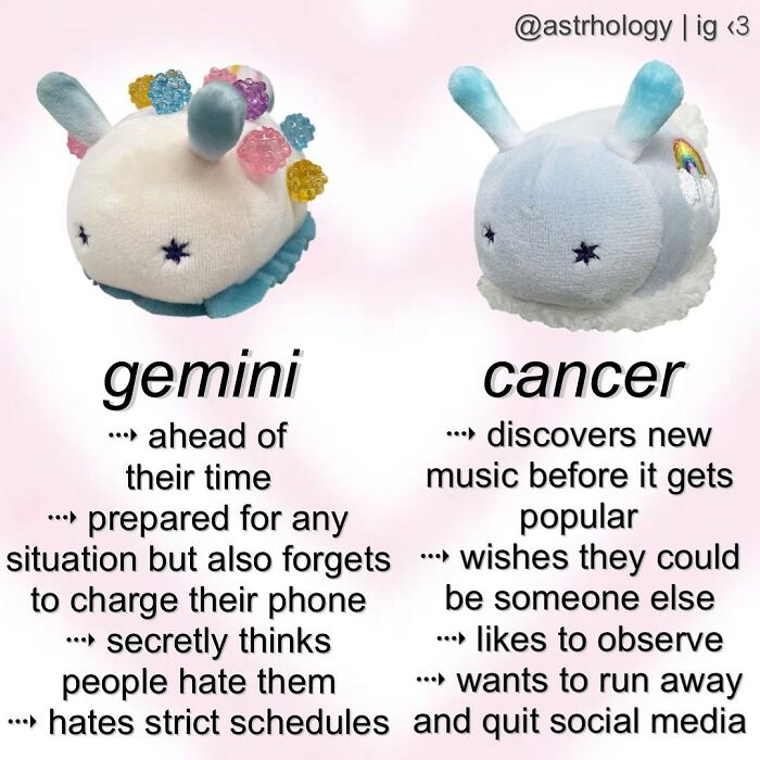 Gemini and Cancer astrology memes featuring adorable slug plushies with relatable traits for zodiac signs.