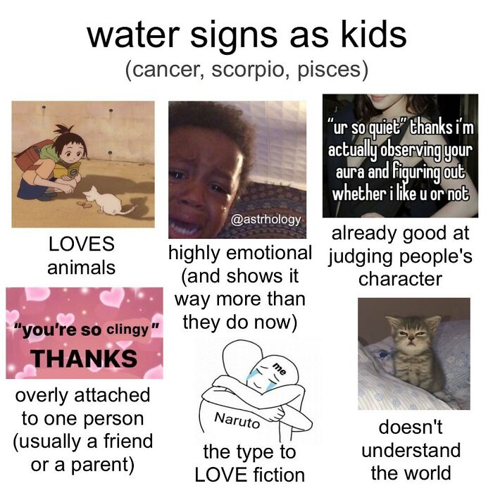 Funny Astrology Memes: Water signs as kids, showing traits like loving animals and being emotional. Relatable zodiac sign humor.
