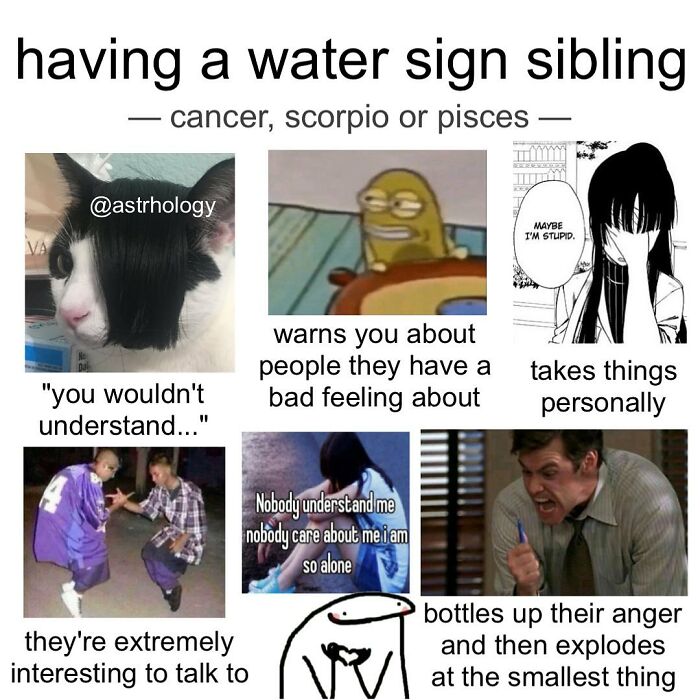 Funny astrology memes about water sign siblings (Cancer, Scorpio, Pisces) and their relatable traits, like bottling up anger.