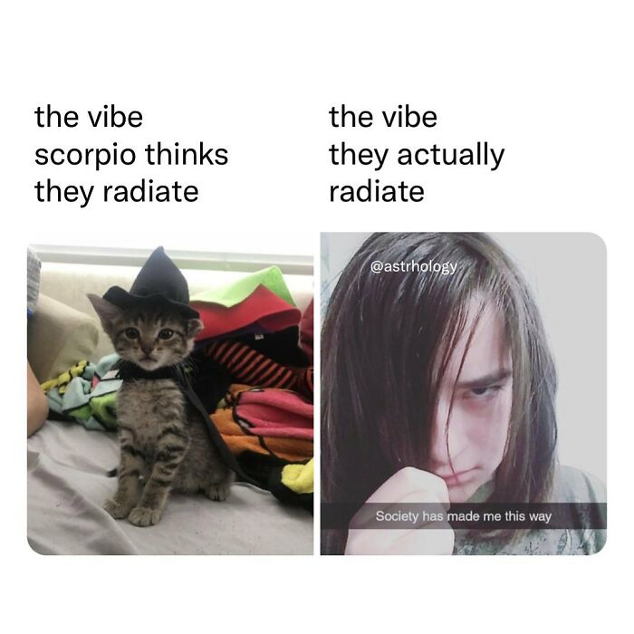 Funny astrology meme: a cute kitten in a witch hat versus a serious person with long hair. Relatable zodiac sign content.