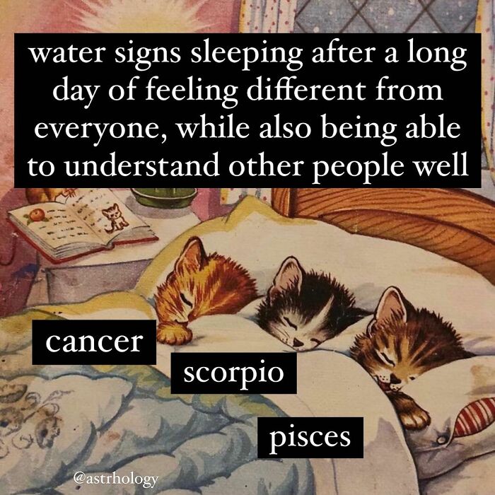 Funny astrology meme: Three sleeping kittens labeled Cancer, Scorpio, and Pisces, representing relatable water signs.