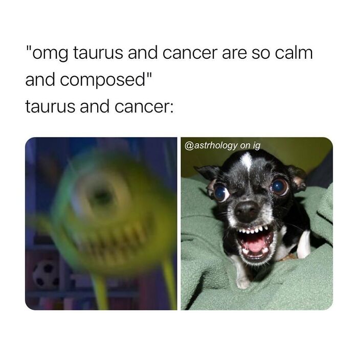 Funny astrology meme about Taurus and Cancer, depicting a blurred Mike Wazowski and a snarling Chihuahua expressing chaotic energy.