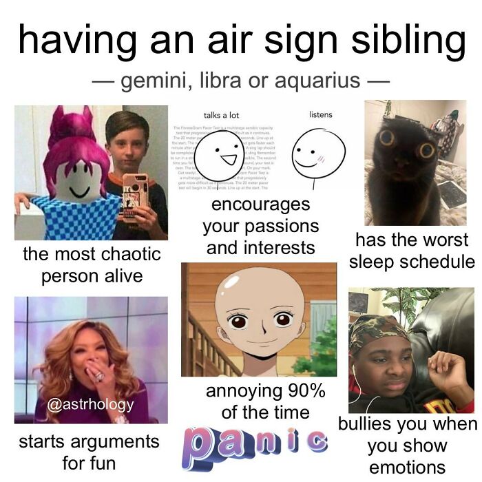 A funny astrology meme about having an air sign sibling (Gemini, Libra, or Aquarius), with relatable humorous characteristics.