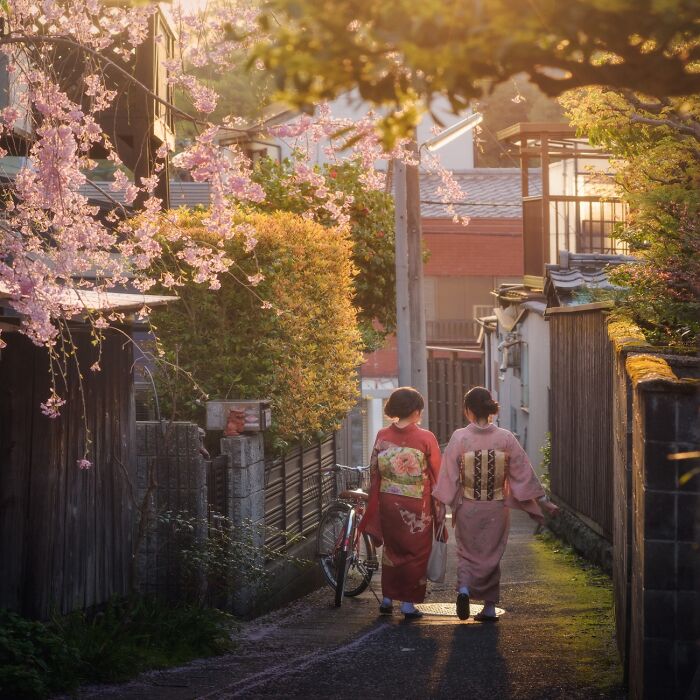 42 Stunning Photos Of Japan’s Landscapes And Colorful Seasons By Daniel Kordan
