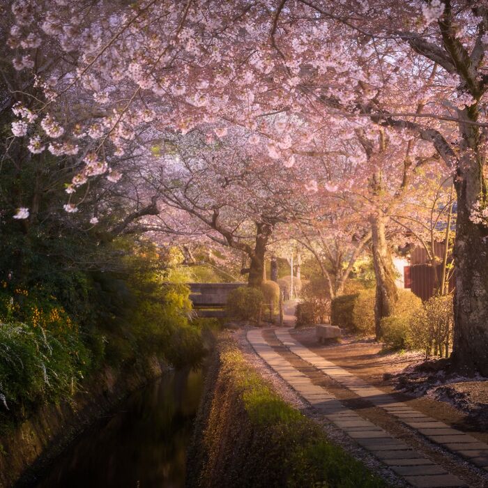 42 Stunning Photos Of Japan’s Landscapes And Colorful Seasons By Daniel Kordan