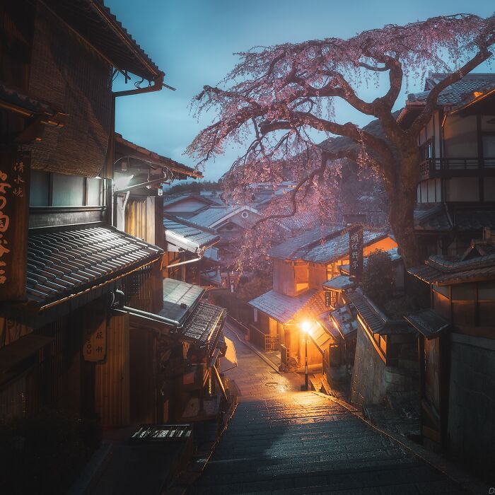 42 Stunning Photos Of Japan’s Landscapes And Colorful Seasons By Daniel Kordan