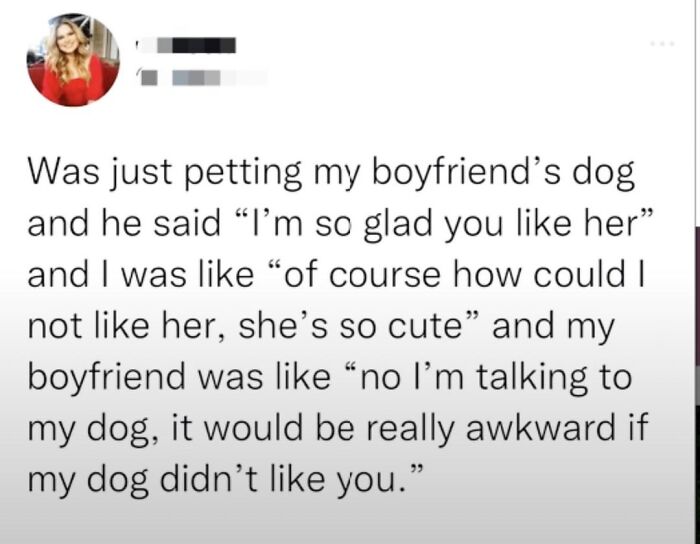 Boyfriend mistaking dog's approval for his girlfriend, a sweet wholesome story