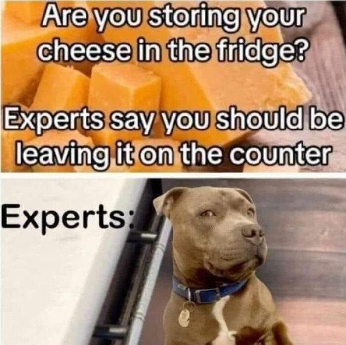 Wholesome-Memes-Memeuplift