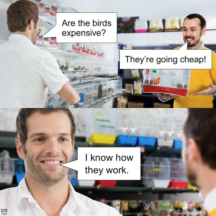 Funny-Puns-Dad-Jokes-Punhubonline