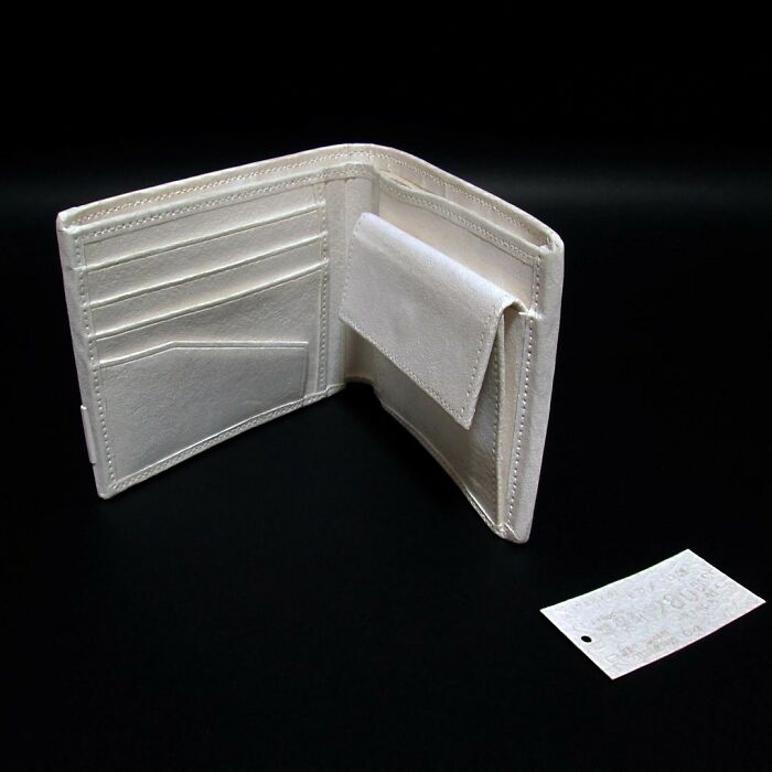 Open paper wallet displaying card slots and coin pocket
