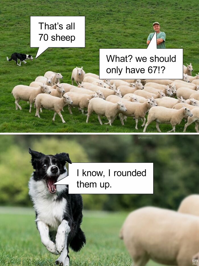 Funny-Puns-Dad-Jokes-Punhubonline