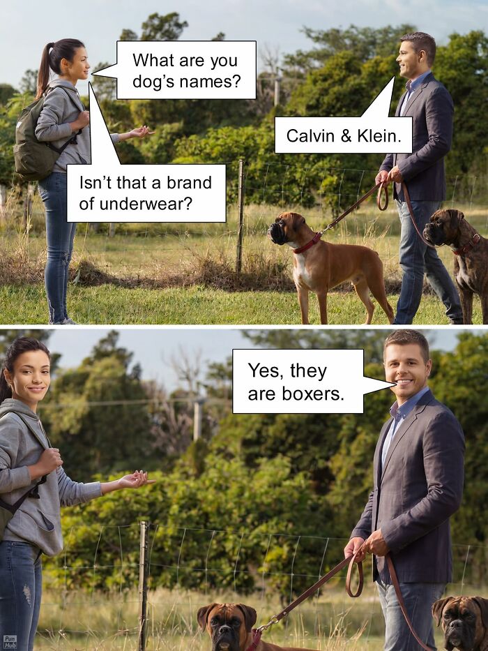 Funny-Puns-Dad-Jokes-Punhubonline