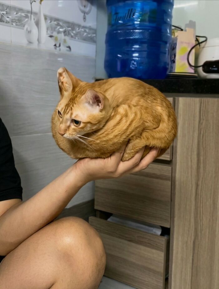 These Important Animal Pics Are Here To Make Your Day A Little Better (37 New Pics)
