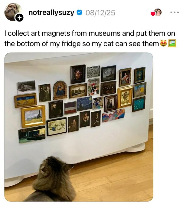A cat sits on a wooden floor, looking up at a collection of art magnets on a white fridge. This positive post might make your day.