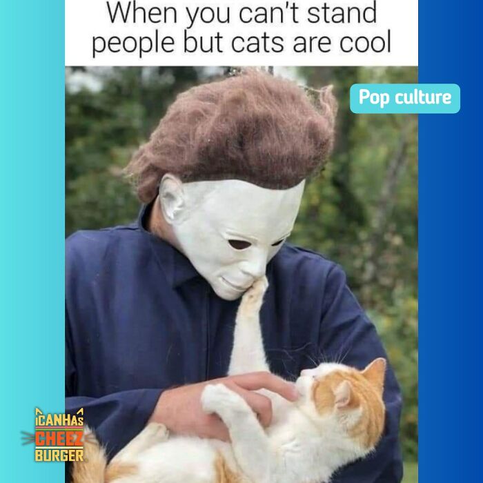 41 Cat Posts Shared By This Page That Are Funny, Sweet, And Spot On