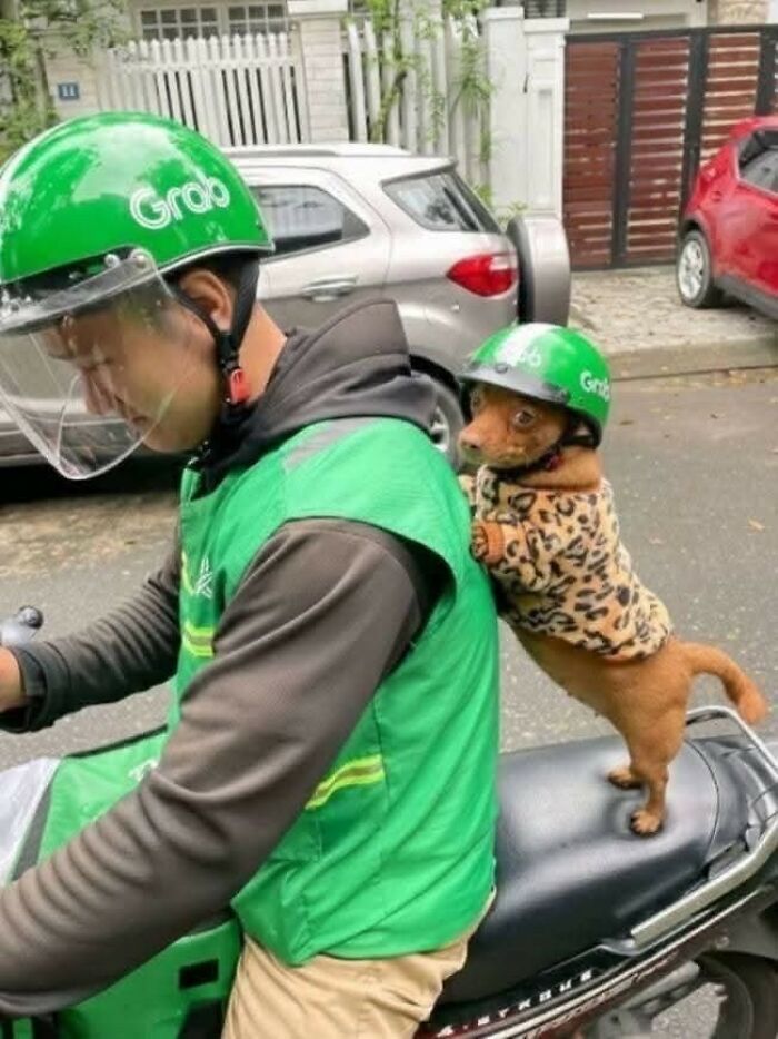 These Important Animal Pics Are Here To Make Your Day A Little Better (37 New Pics)