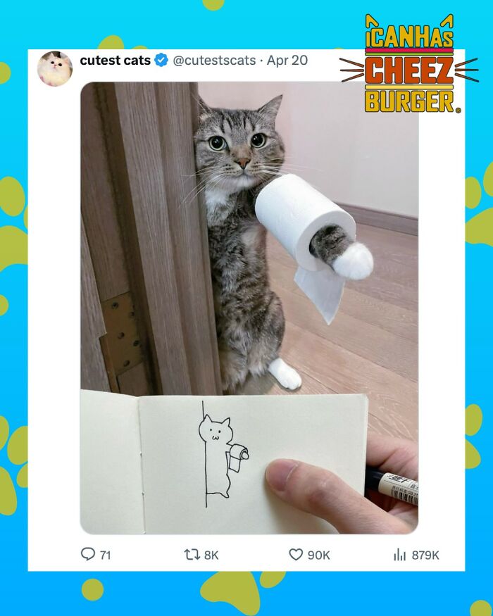 41 Cat Posts Shared By This Page That Are Funny, Sweet, And Spot On