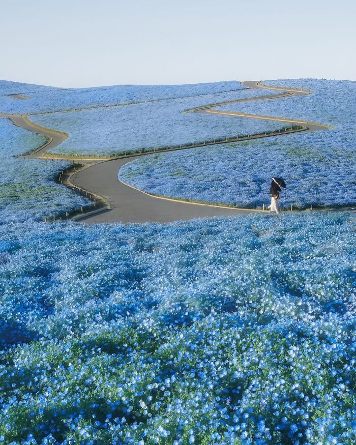 42 Stunning Photos Of Japan’s Landscapes And Colorful Seasons By Daniel Kordan