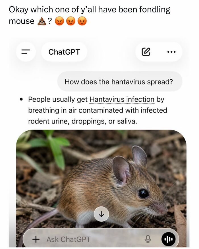 Hantavirus-Memes-Tweets-Reactions