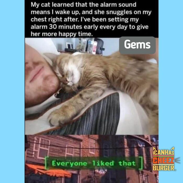41 Cat Posts Shared By This Page That Are Funny, Sweet, And Spot On