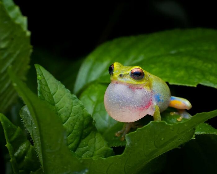 55 Fascinating Macro Photos Shared By This Page That Reveal Tiny Worlds Up Close