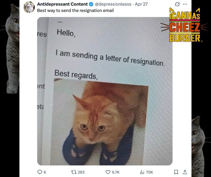 41 Cat Posts Shared By This Page That Are Funny, Sweet, And Spot On