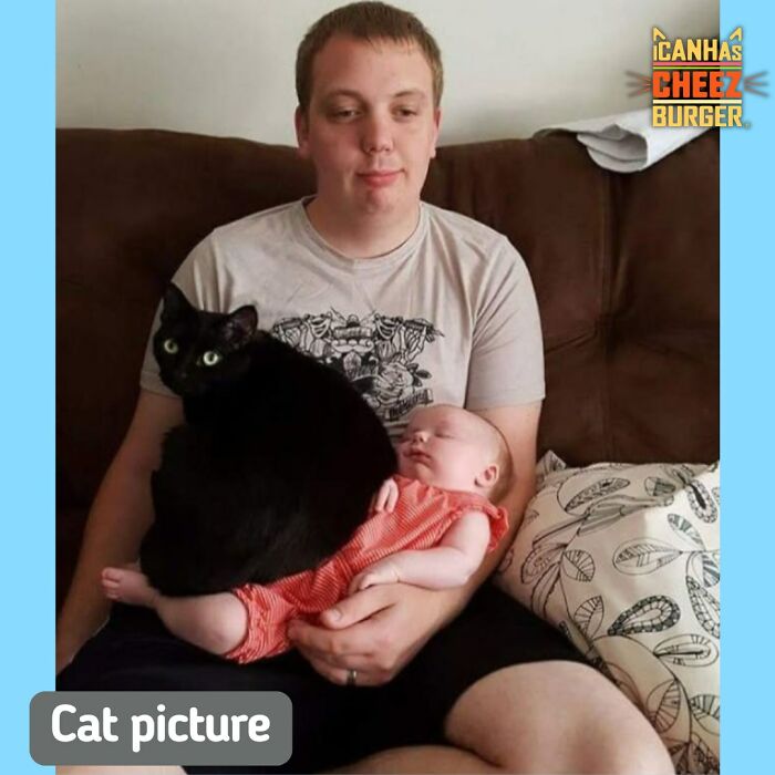 41 Cat Posts Shared By This Page That Are Funny, Sweet, And Spot On