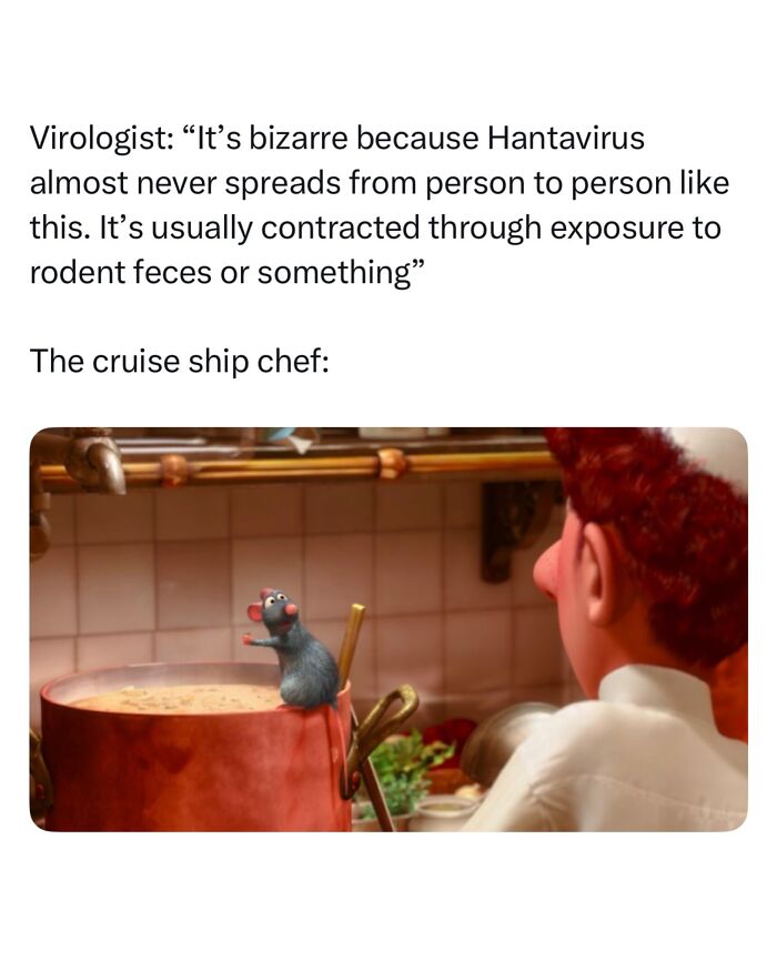 Hantavirus-Memes-Tweets-Reactions
