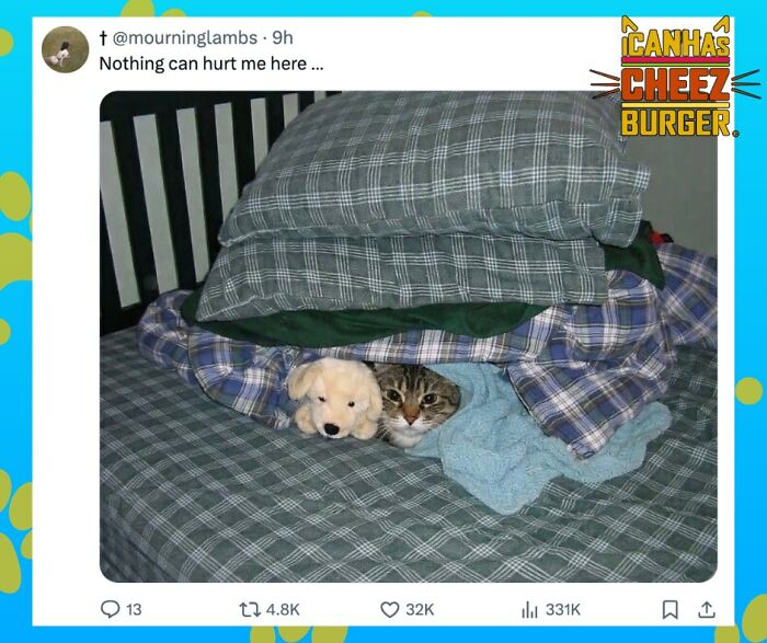 41 Cat Posts Shared By This Page That Are Funny, Sweet, And Spot On