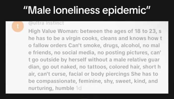Screenshot discussing male loneliness epidemic and high value woman expectations