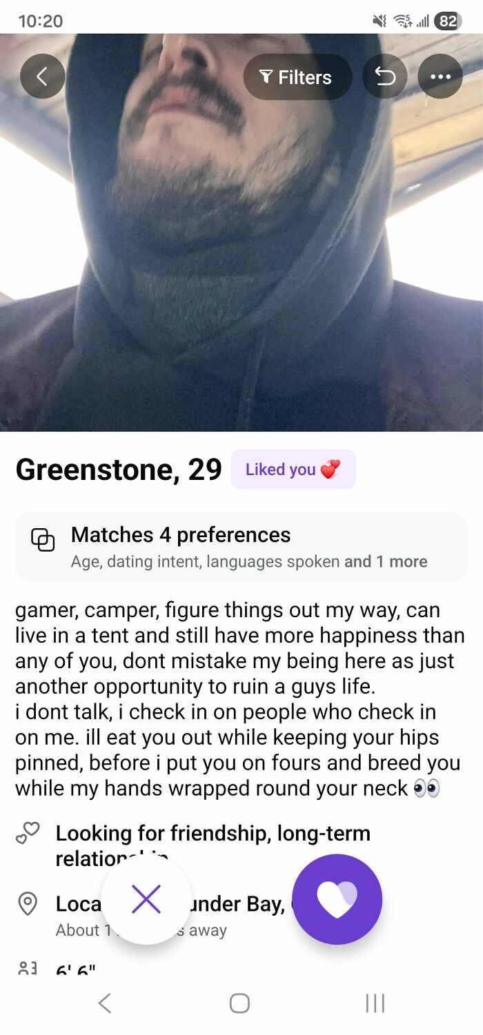 Dating profile of Greenstone, 29, describing interests and relationship goals
