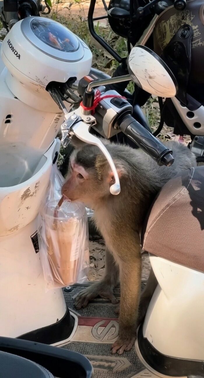 These Important Animal Pics Are Here To Make Your Day A Little Better (37 New Pics)