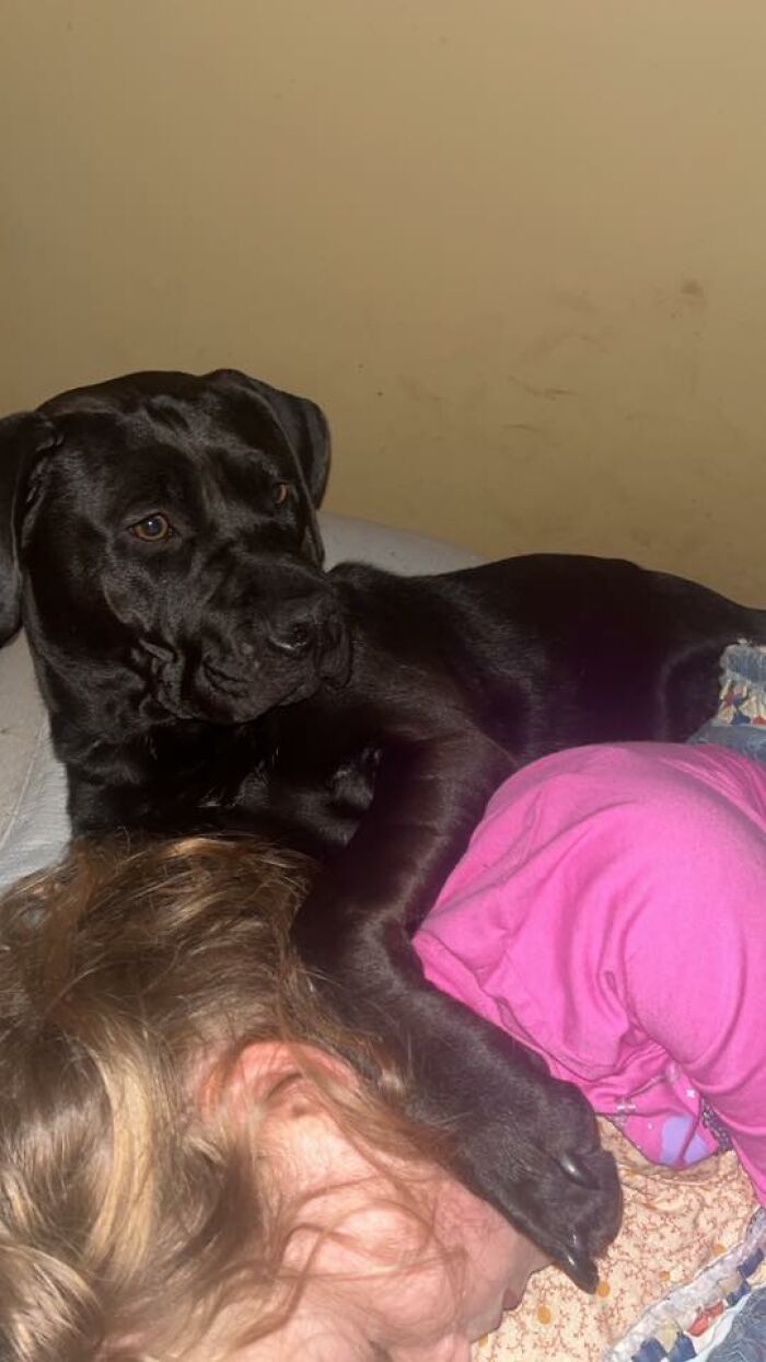 48 Weird Pets That Got Absolutely Roasted Online And Deserved Every Word