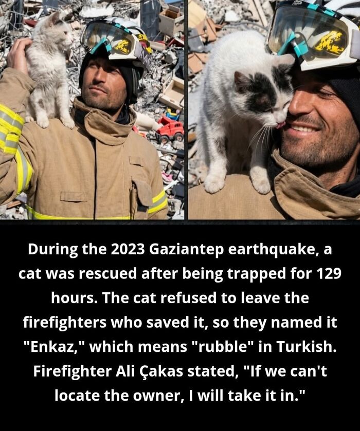 This Facebook Page With Over Half A Million Followers Is Sharing Some Of The Most Heartwarming Animal Stories Online (25 Pics)