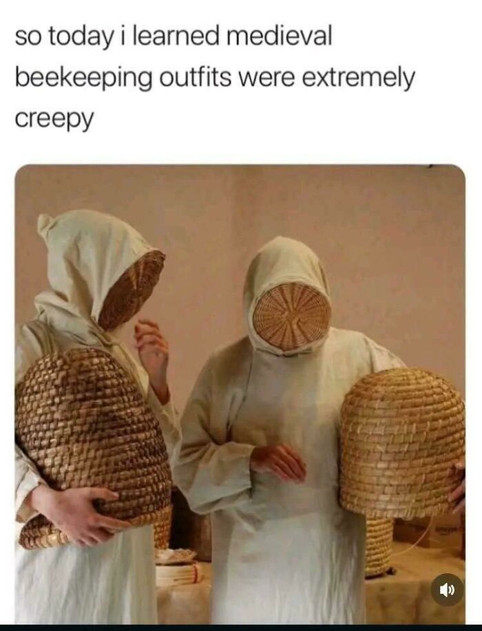 The Custodians, Regulators Of The Bee's