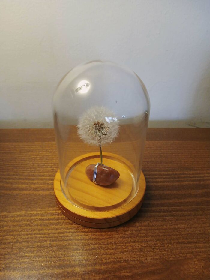 A handmade dandelion seed head with a silver ring on a stone, preserved under a glass dome.