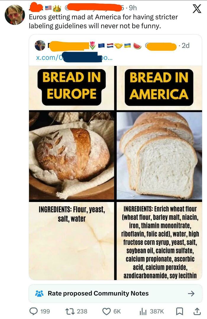 A comparison of ingredients of European and American bread showing dumbest things confidently posted online
