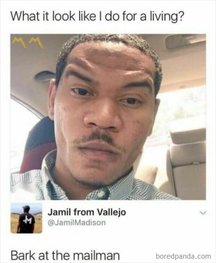 A man with an intense facial expression, a true rare burn, looking at the camera. The meme asks, What it look like I do for a living?