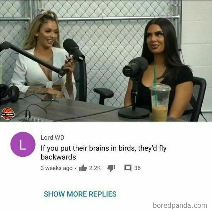 A user comment delivers a rare burn to two women on a podcast. It's a burn that hits so hard.