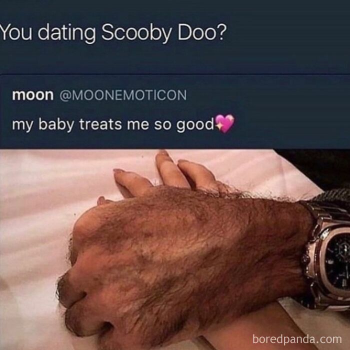 A meme showing a very hairy hand holding a smoother hand with a watch, generating a rare burn about Scooby Doo.